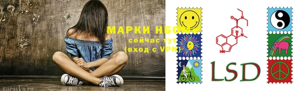 ГАЛЛЮЦИНОГЕННЫЕ ГРИБЫ Вязьма