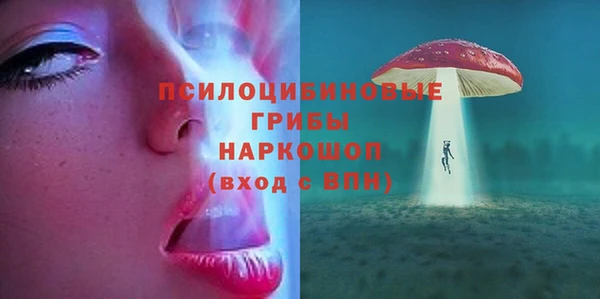 ГАЛЛЮЦИНОГЕННЫЕ ГРИБЫ Вязьма